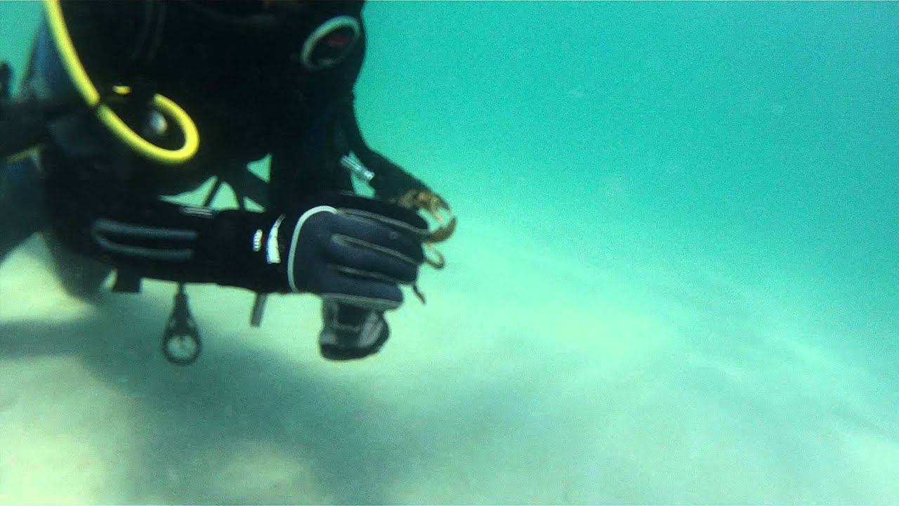 Прерванная любовь