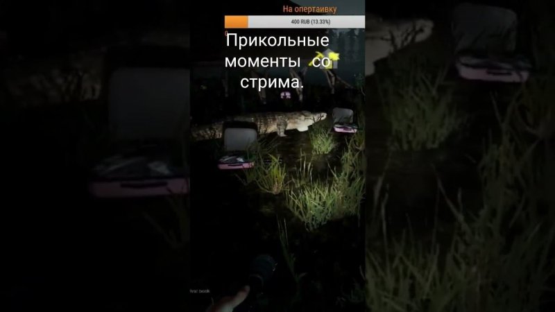 Моменты со стрима.