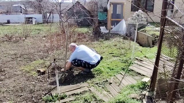 Обзор прошлогодних проектов. Сажаю малину от Агромаркета.