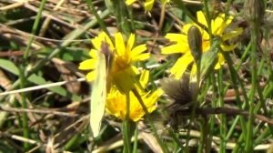 Первый день осени