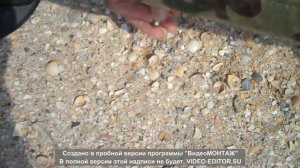 коп на азовском море от профессуры копа