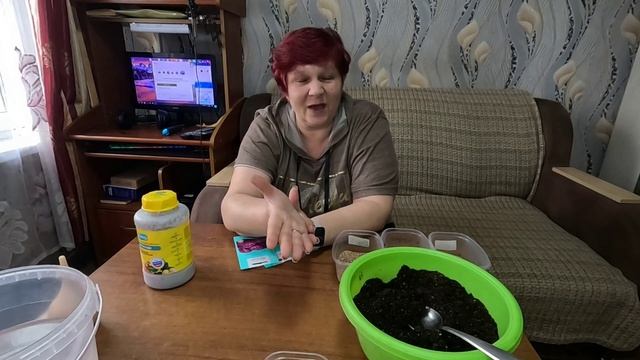 Посев самой красивой и сочной краснокочанной капусты!!