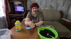 Посев самой красивой и сочной краснокочанной капусты!!