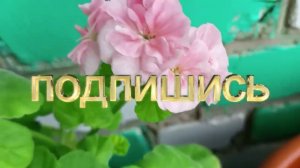 Цветочный балкончик