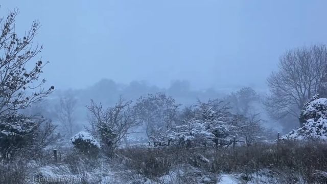 12 месяцев смотреть онлайн
