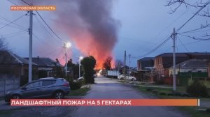 Ростовский городовой. 5 апреля 2025