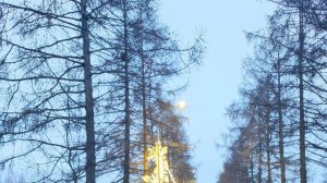 спидран по doors и the mains