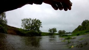 Ловля голавля. Голавль атакует 30. Поклевки голавля на спиннинг.