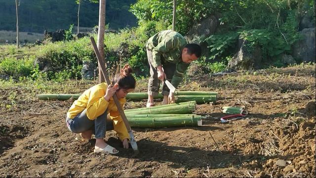 full video: flower gardening, cassava harvesting, tomato trellis, construction смотреть онлайн
