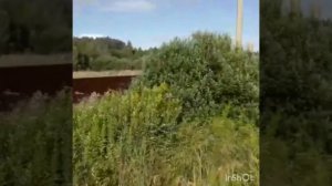 Московская область, Талдомский г.о., деревня Сорокино, земельный участок