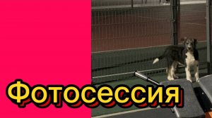ДЕРЕВЕНСКИЙ ДНЕВНИК. "ФОТОСЕССИЯ"