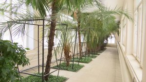Новая глава в истории Ухтомской больницы