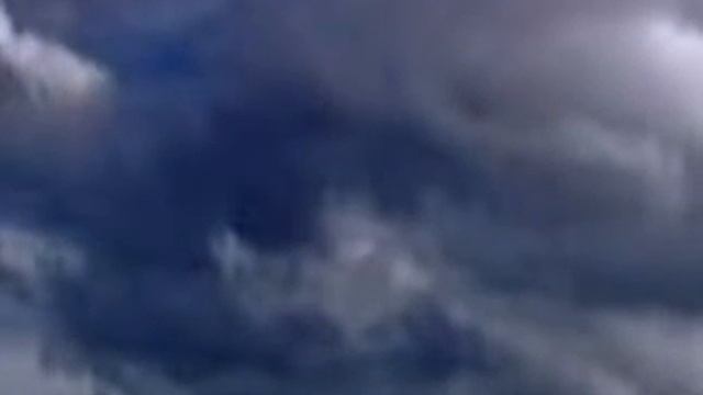 Что нам гады.mpg смотреть онлайн