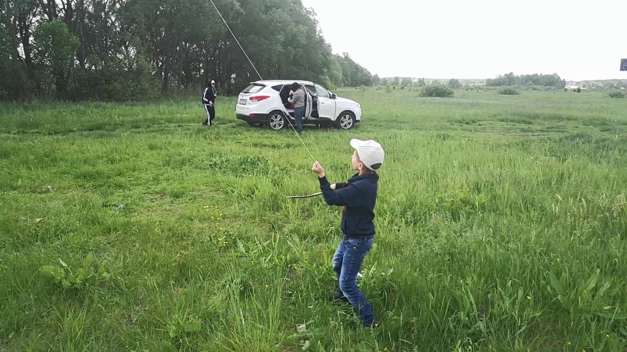 В небе змей.