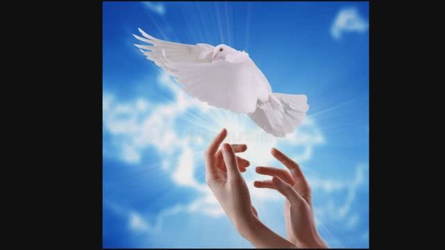 Птичка. Александр Сергеевич Пушкин. смотреть онлайн