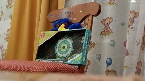 Обзор на игрушечное оружие - Арбалет, пистолет и NERF