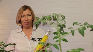 Микроудобрение Аквамикс - профилактика и устранение хлорозов вызванных недостатком микроэлементов.