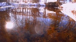 РУЧЕЙ И СОЛНЦЕ. 07.04.2025Г. МЕЛОДИИ СЕВЕРНОГО КРАЯ.