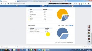 Аналитика ВКонтакте  Как пользоваться