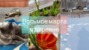 Восьмое марта в деревне