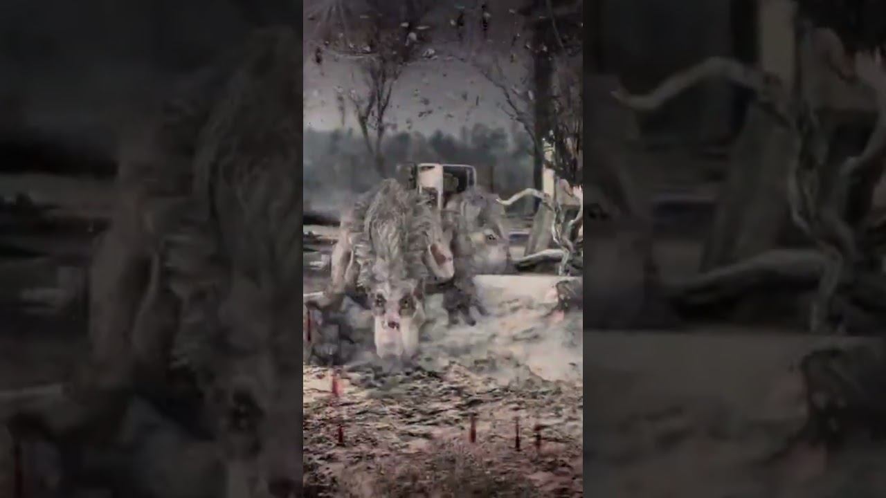 Правила выживания #shorts #short #egorivers #gaming #video #like #metro2033redux #metroexodus