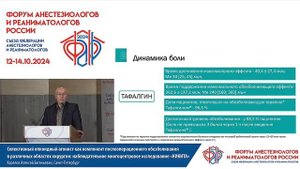 Тафалгин Карелов А.Е. ФАРР 2024