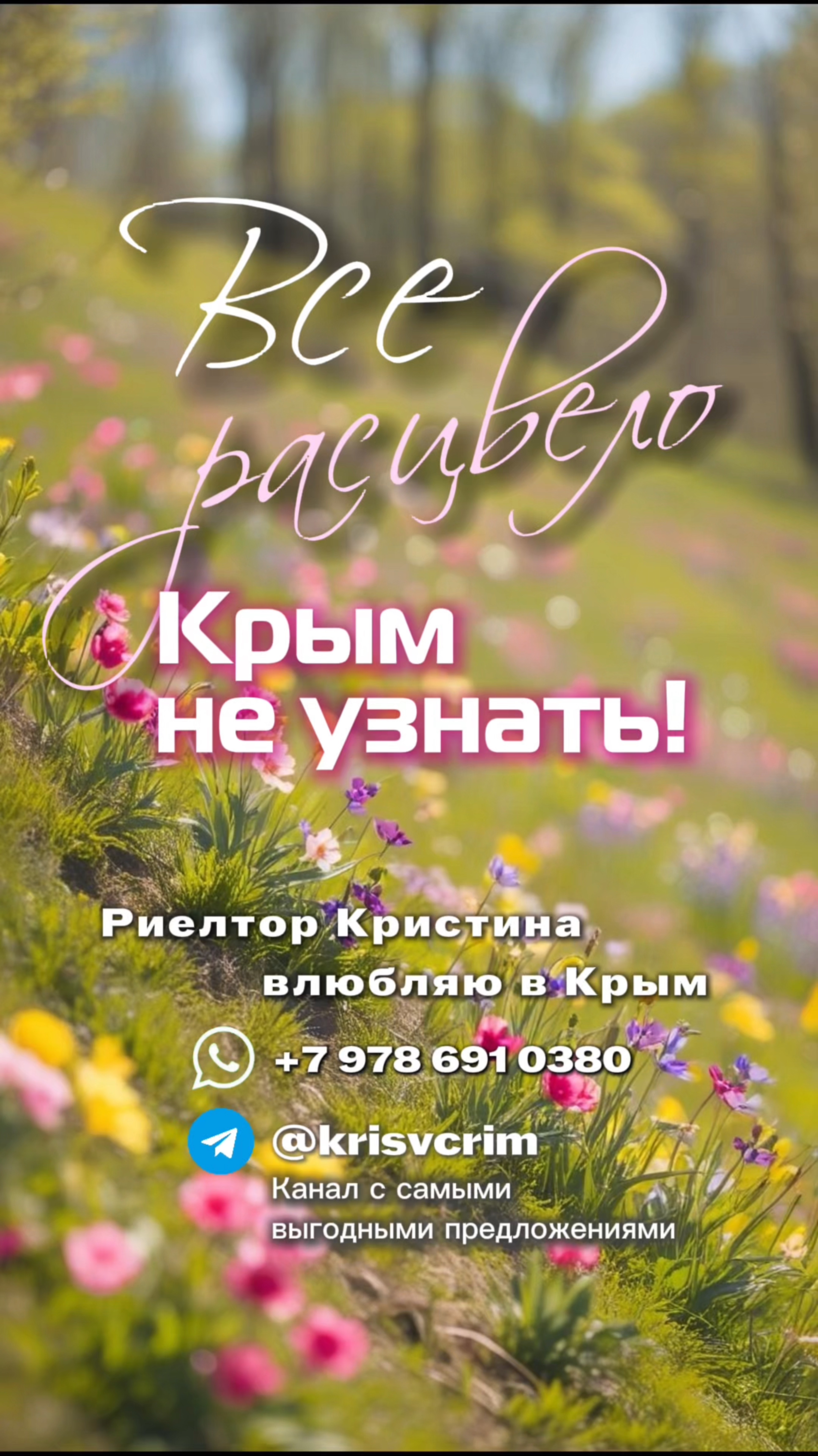 Стоит ли ЕХАТЬ В КРЫМ весной 2025? #переездвкрым #переезднаюг #жильевкрыму #жизньвкрыму #домвкрыму