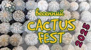 Выставка-ярмарка Cactus Fest. Весна 2025