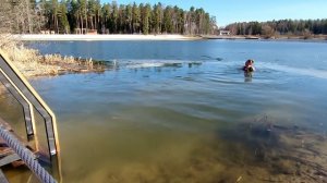 Заплыв с последним льдом на озере