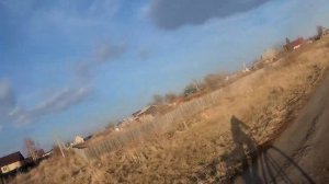 Вечерняя прогулка. 😊