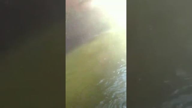 атака голавля смотреть онлайн