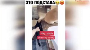 ПРИКОЛЫ 2024✅️ ТОП РЖАЧ ЗАЧЕМ ОНА ЭТО СДЕЛАЛА