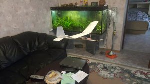 11 февраля 2021 г.