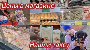 Нашли Таксу.Цены в супермаркете. Готовлю плов.#семьяизмариуполя #мариуполь #мариупольсегодня