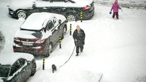 В Москву вернулась зима. Объявлен оранжевый уровень погодной опасности
