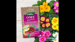 ОМУ Цветик - органоминеральное удобрение для комнатных и балконных цветов