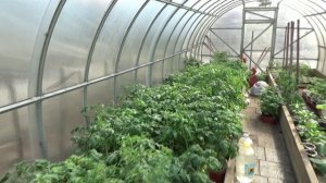 У нас в Сибири тепло, как в Ростове-на-Дону! Обзор погоды 7 апреля