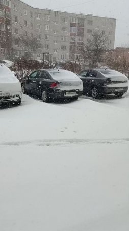 Сюрпризы весны в апреле