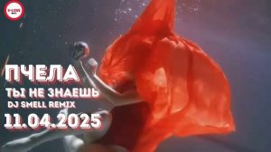 Пчела-Ты не знаешь (DJ Smell remix) Скоро премьера