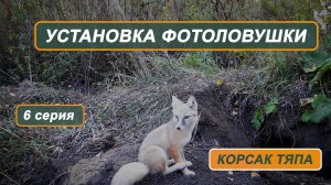 Фильм "Корсак Тяпа". 6 серия. Установка фотоловушки
