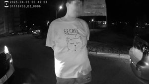 Пьяный форсаж автоледи