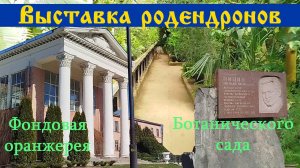 Выставка Родендронов в Фондовой оранжерее Ботанического Сада бонус прогулка по саду