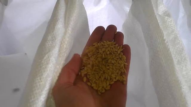 CZYSZCZENIE RYŻU OD KAMIENI 2 смотреть онлайн