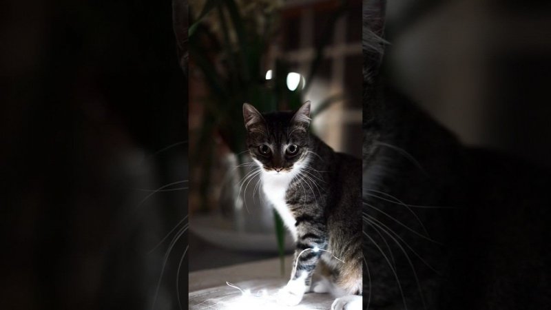 Какой пристальный взгляд