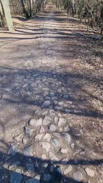Булыжная дорога, сделанная в XVIII веке в парке Кузьминки-Люблино в Москве