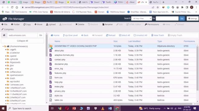 Make YouTube Video Downloader Website With DownFirm Script