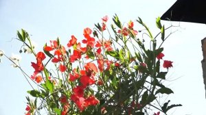 Удачный сезон семьи Горбатенко