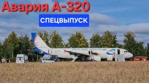 Запись переговоров "Airbus A320" с диспетчерами перед посадкой в поле