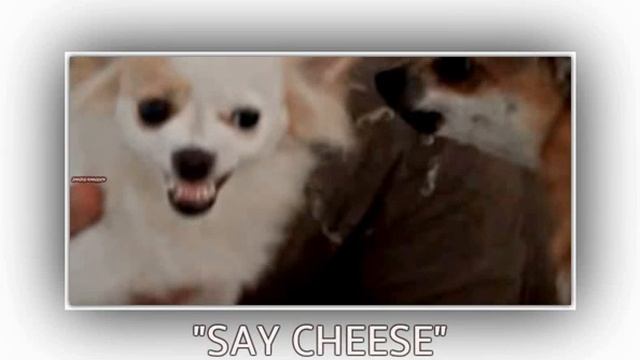 Smile Lolly смотреть онлайн