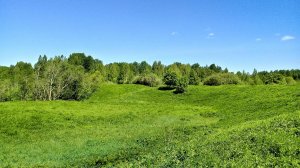 На природе - 12 (слайд-шоу из моих фотографий)